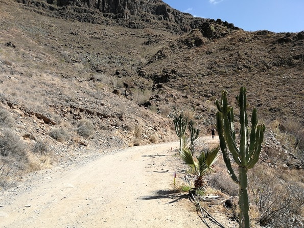 Western States