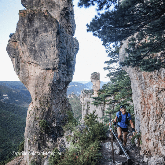 Festival des Templiers