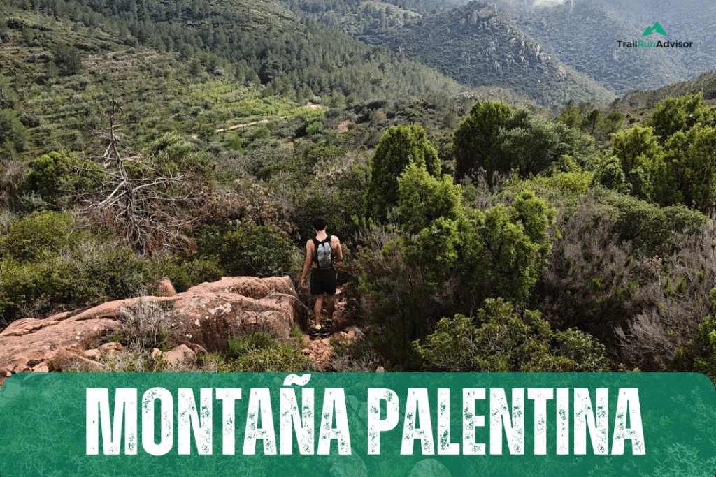 Palentina Trail 2025