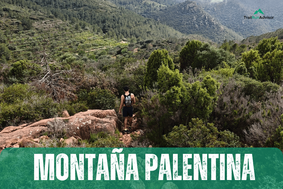Palentina Trail 2025