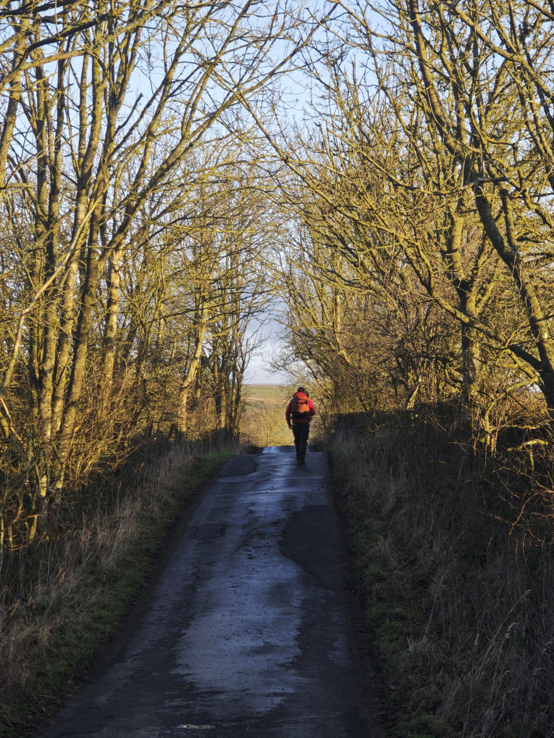 Spine Race