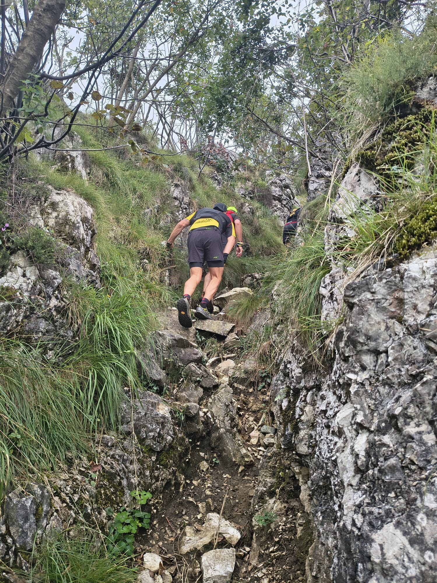Mojanchi Trail
